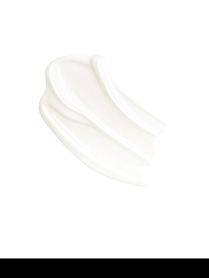 Close-up of a white ceramic bowl on a white background